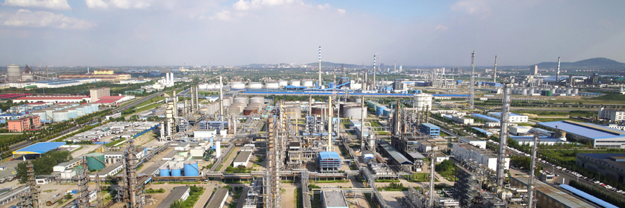 山東匯豐石化集團有限公司